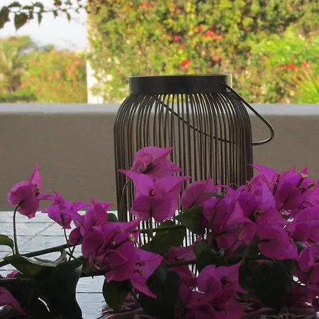 Apartament Stammes-suite By Interhome Pantelleria