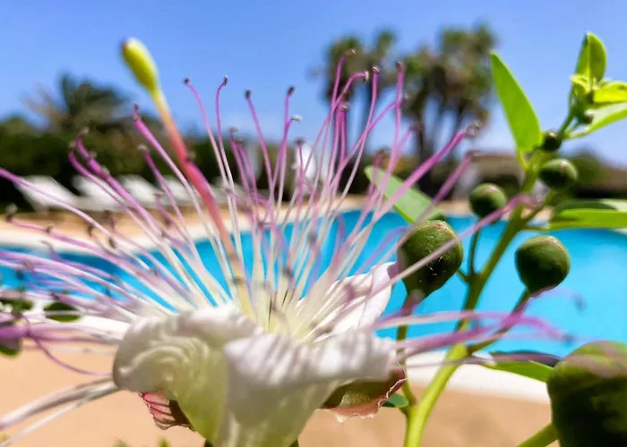 Lägenhet Stammes-suite By Interhome *