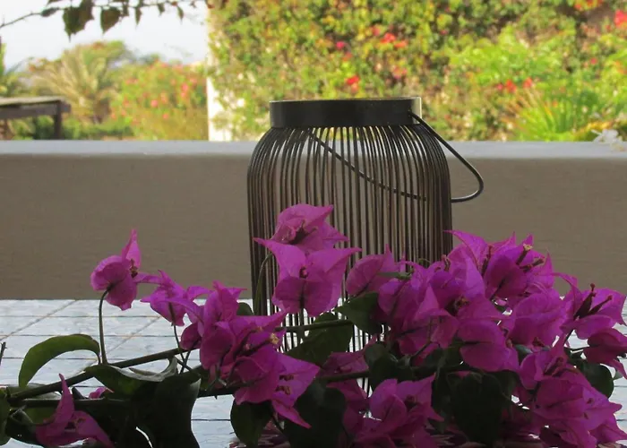 Lägenhet Stammes-suite By Interhome Pantelleria